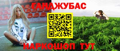 наркотики Сланцы