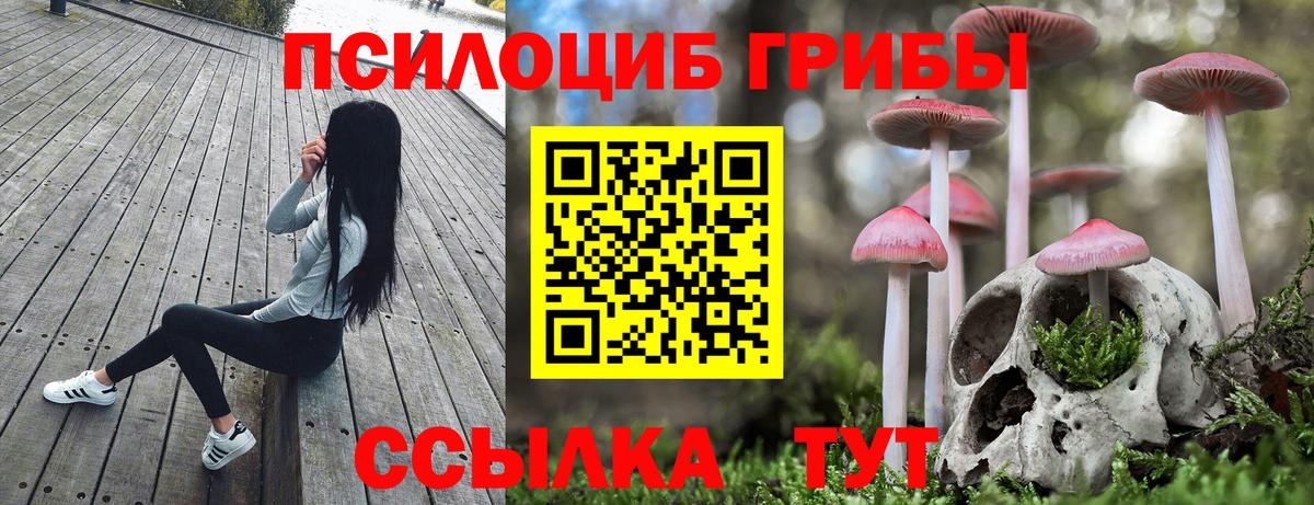 Галлюциногенные грибы мицелий Курганинск