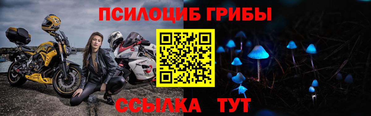 Галлюциногенные грибы Psilocybe  Вход с VPN  Курганинск  Псилоцибиновые грибы Cubensis 