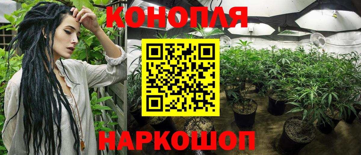 Марихуана OG Kush Курганинск